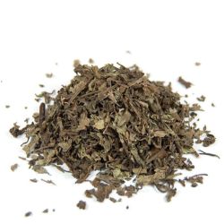 Cailleau - Orthosiphon ( feuille coupée )