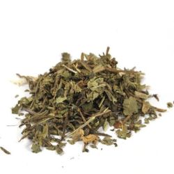 Cailleau - Pissenlit ( feuille coupée)